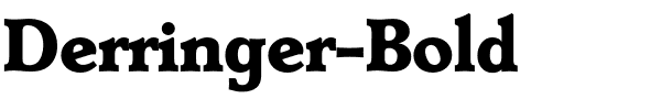 Derringer-Bold.ttf