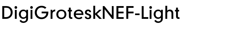 DigiGroteskNEF-Light.ttf