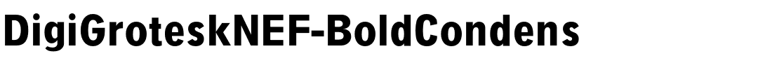 DigiGroteskNEF-BoldCondens.ttf