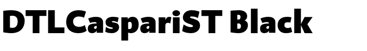 DTLCaspariST Black.ttf