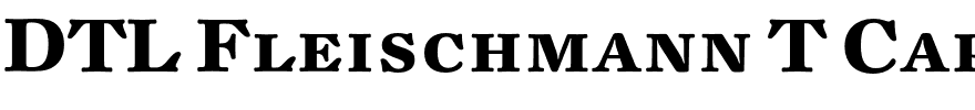 DTL Fleischmann T Caps.ttf