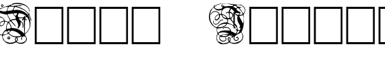 Dutch Initials.ttf