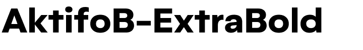 AktifoB-ExtraBold.ttf