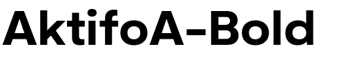 AktifoA-Bold.ttf