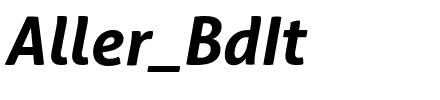Aller_BdIt.ttf
