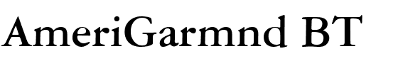 AmeriGarmnd BT.ttf