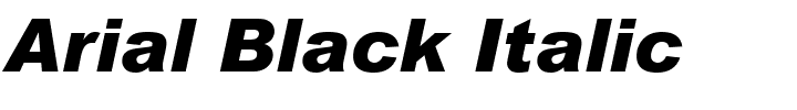 Arial Black Italic.ttf