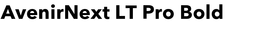 AvenirNext LT Pro Bold.ttf