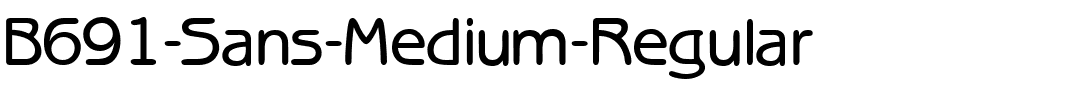 B691-Sans-Medium-Regular