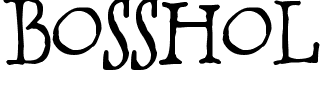 BOSSHOLE.ttf