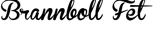 Brannboll Fet.ttf