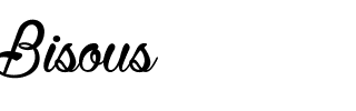 Bisous￡.ttf