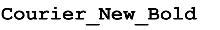 Courier_New_Bold.ttf