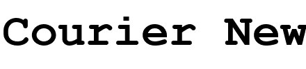 Courier New.ttf