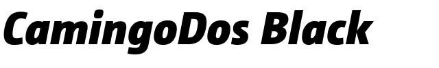 CamingoDos Black.ttf