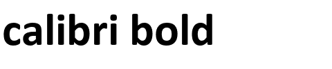 calibri bold.ttf