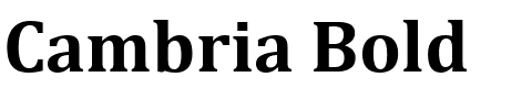 Cambria Bold.ttf