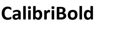CalibriBold.ttf