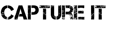 Capture it.ttf