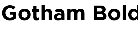 Gotham Bold.ttf