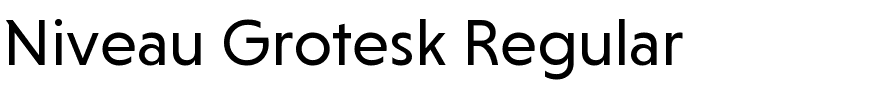 Niveau Grotesk Regular.ttf