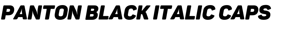 Panton Black italic Caps.ttf