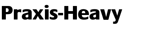 Praxis-Heavy.ttf