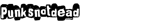 Punk'snotdead.ttf
