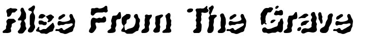 Rise From The Grave.ttf