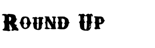 Round Up.ttf