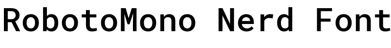 RobotoMono Nerd Font.ttf