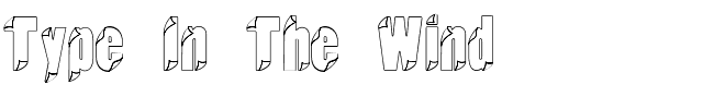 Type In The Wind.ttf