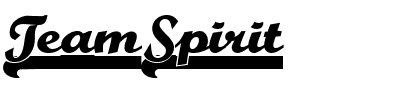 TeamSpirit.ttf