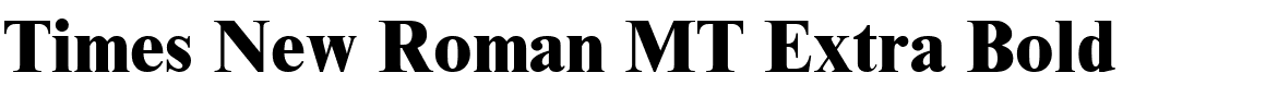 Times New Roman MT Extra Bold.ttf