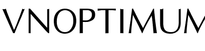 VNOptimumH.ttf