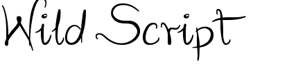 Wild Script.ttf