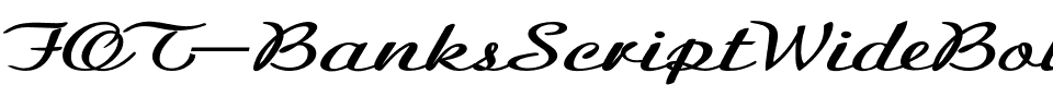 FOT-BanksScriptWideBold.otf