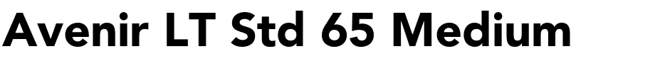 Avenir LT Std 65 Medium.otf