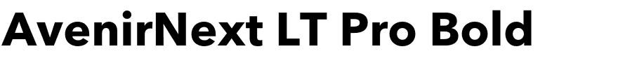 AvenirNext LT Pro Bold.otf