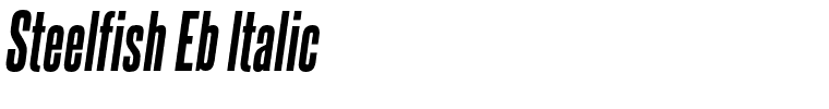 Steelfish Eb ltalic.otf