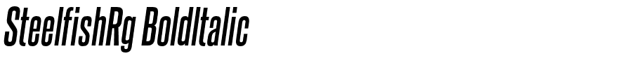 SteelfishRg Boldltalic