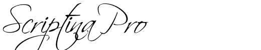 Scriptina Pro