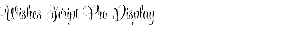 Wishes Script Pro Display