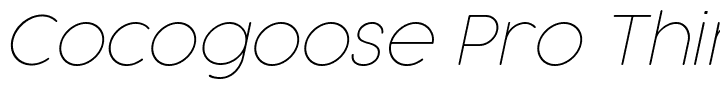 Cocogoose Pro Thin