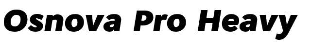 Osnova Pro Heavy