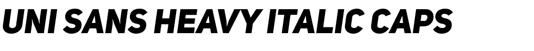 Uni Sans Heavy Italic CAPS